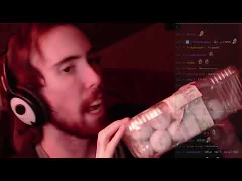 Asmon Snax (Bugsnax)