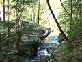 Nature: Cloudland Canyon State Park
