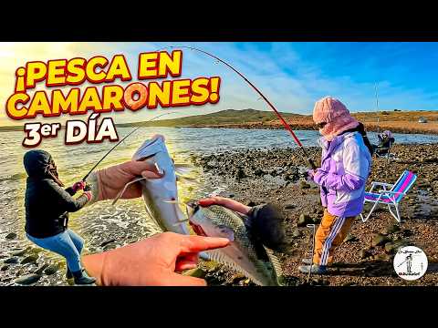 Pesca en Camarones dia3