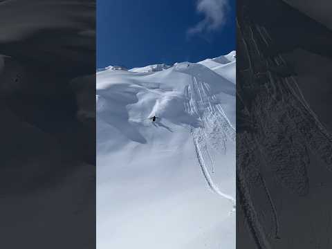 Powder Day #skiing #freeskiing #powder #hakuba