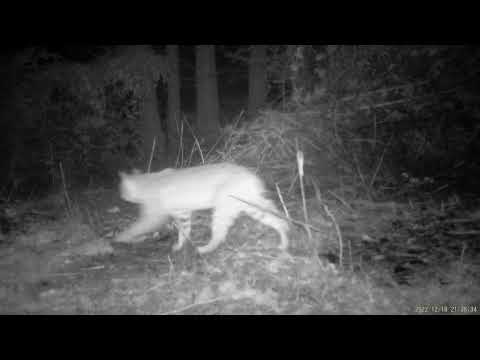 2022 1218 213633 000018