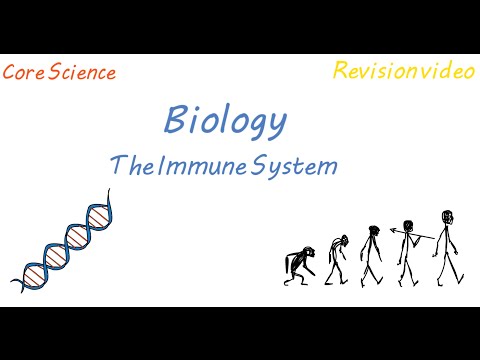 B1: The Immune System (Revision)