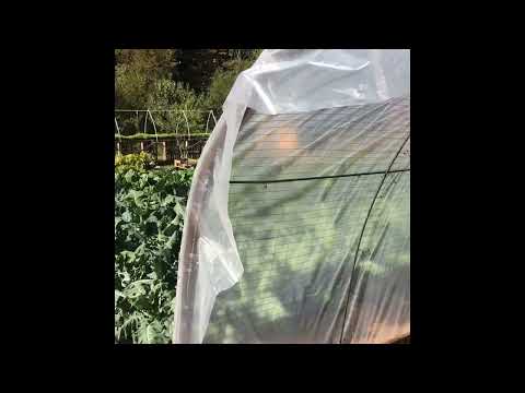 Finishing touches to complete the greenhouse