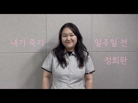 비디오 8