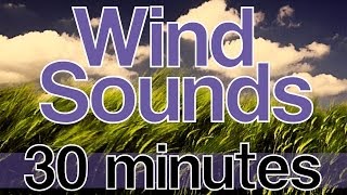 Relaxing Wind Sounds 30 Minutes HD 1080p Natural Sounds without Music "Wind Noise"