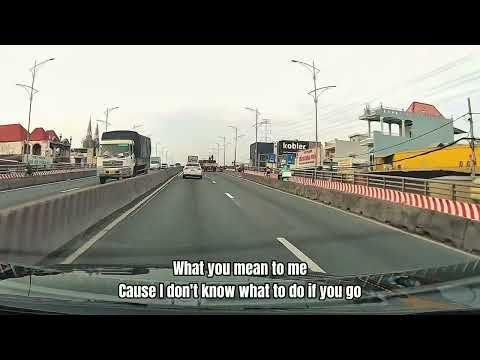 If You Go By Wildflowers feat. Christine Smit #lyrics