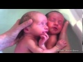 Sweetest twins being bathed for first time together ...