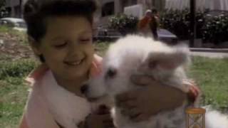 BURBLES - Canción por los Perros (remastered) by Carlos Cobas &amp; Raul Barroso