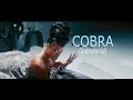 Megan Thee Stallion Cobra Instrumental Best Version