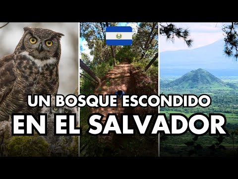 El Bosque Escondido de Santa Ana QUE POCOS CONOCEN en El Salvador | Área Natural Paraje Galán