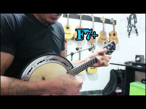O Banjo - Arlindo Cruz