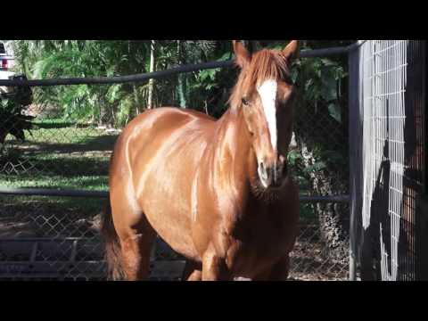 Ladbrokes Presents: Moody On The Mic