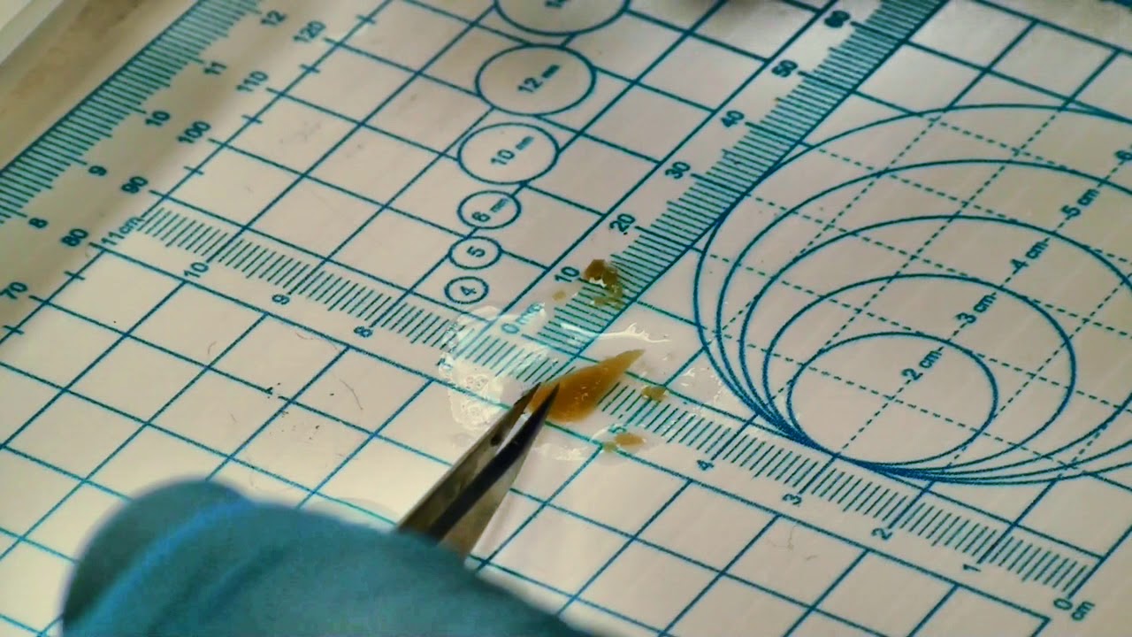 Tissue Cutting for TEM Processing