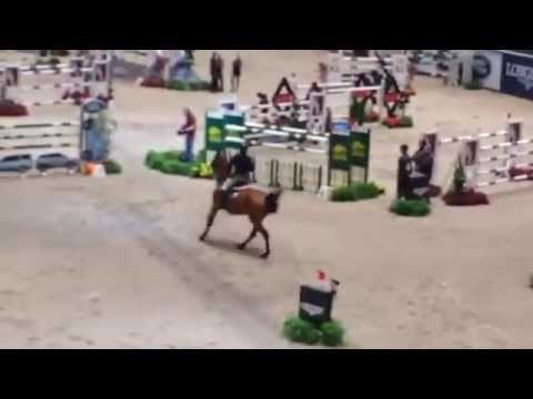 CSI5*-W Oslo 2014 - Weltcup - Markus Saurugg & Texas I