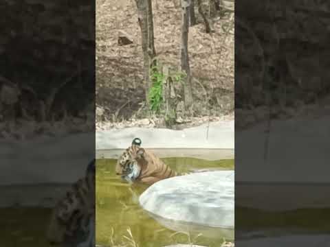 National Park # Bangalore Atishay Unique