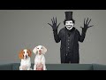 Dogs vs Babadook Prank: Funny Dogs Maymo & Potpie Get Halloween Scare with Babadook