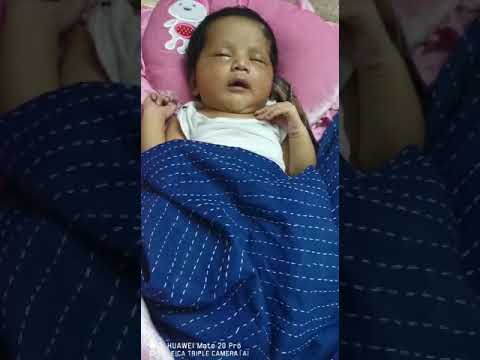 When I Was Only 1 Days||Wafiya's Vlog|