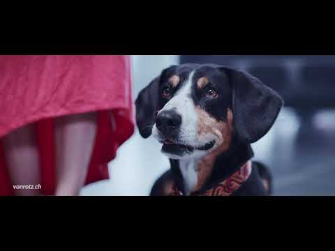 Werbespot Auto Welt von Rotz