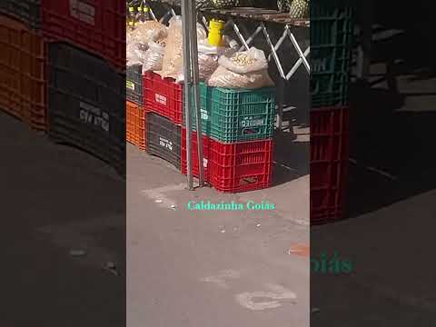 vem pra Caldazinha Goiás #jhonnyandrade