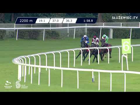 02.10.2021 (D39; G8; Tor: 3,4; 11°C) Nagroda Sambora (kat.A)