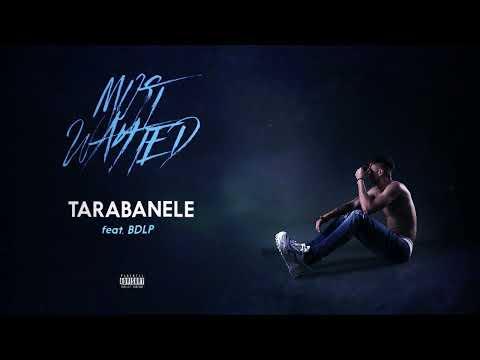 YNY Sebi and Bogdan DLP