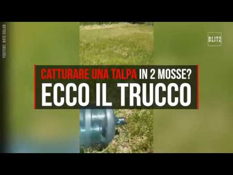 Catching a mole in your garden? Here's a green idea.