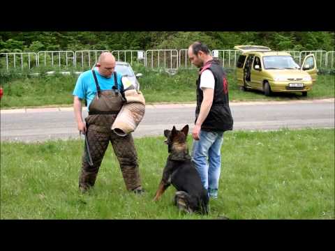 Megie z Vodňanské doliny