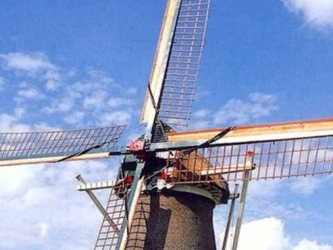 AMSTERODAM A TULIPÁNY.wmv