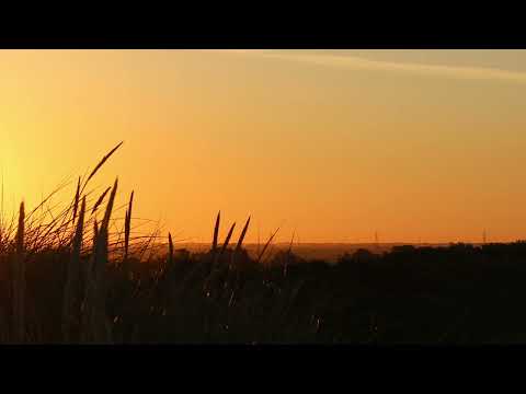 Libra presents Taylor - Calling Your Name (Solarstone Chillout Remix)