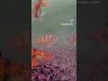 Video Thumbnail for Perch fishing #shorts #fishing #perchfishing #icefishing