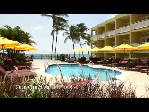 Videos del Sea Breeze Beach House 4★ en Christ Church, Barbados
Ver Más
Ver
Precios
19
Cerrar
Consulta por Whatsapp 🇦🇷
Booking
Tripadvisor
Expedia
Agoda
Travelocity
Orbitz
Priceline
Trip
Skyscanner
Despegar
Kayak
Hoteles
Bestday
Destinia
Trivago
Turismocity
Lastminute
Tui
Wotif