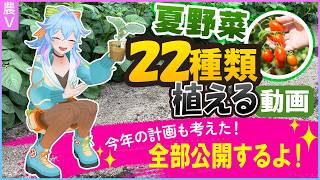 Vtuberなら夏野菜だけで22種類行けます