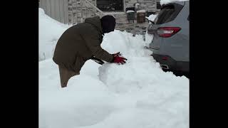 Snowday