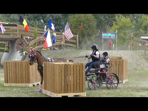 TAKKINEN Raisa, FIN, FEI WCH P1,2,4, Marathon P1, Ob1,28 09 2019