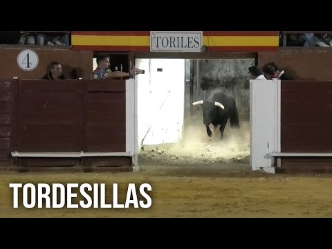 Tordesillas 2024 Campeonato de Cortes con Toros Bravos