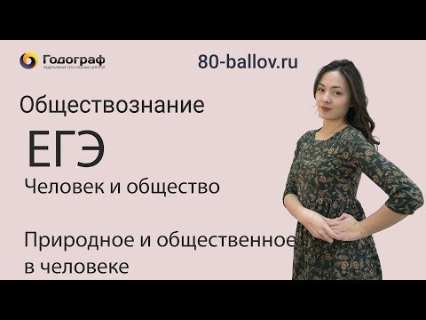 Видео 2