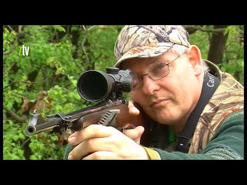 Strani lovci u Salašu