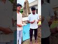 Peigon House Opening Pigeon Viralvideo Pigeon Tamil 1000subscriber 1million Minipigeon8189