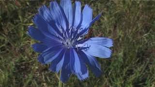 HÍREK A TERMÉSZETBŐL