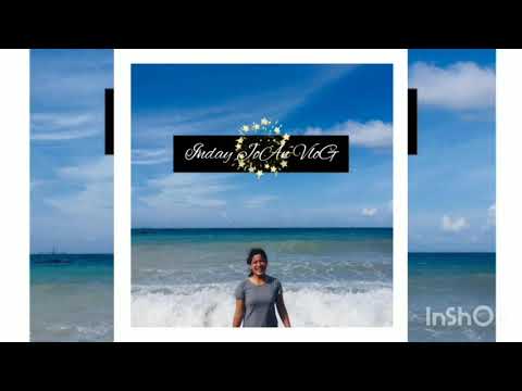 Amazing DoG/Playing the river!#GuHAn🐕🐕🐕