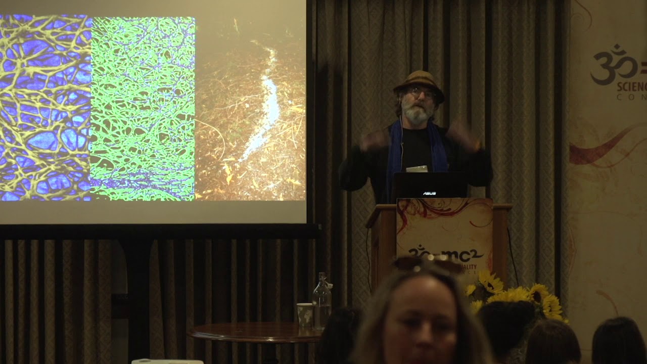 The Amazing World of Mycelium: Paul Stamets - YouTube
