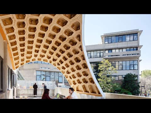 HexBox Canopy Experimental Timber Structure