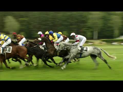 PE, 23. 6. 2018, 2. dostih - Cena společnosti SYNTHESIA, a.s.