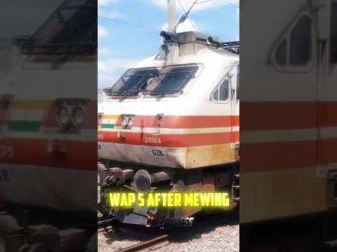 Aerodynamic WAP 5 Before & After Mewing 🗿🧊 #wap5 #mewing #indianrailways