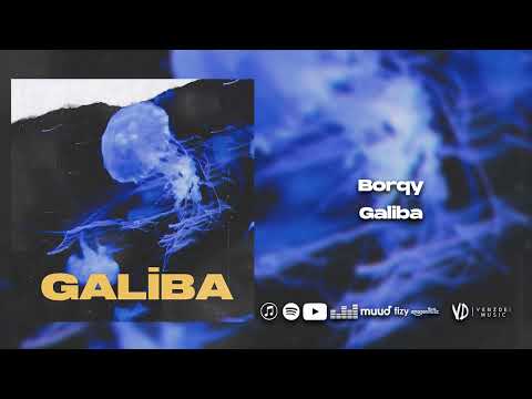 Borqy - Galiba