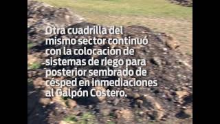 Tareas de mantenimiento en la vía pública.