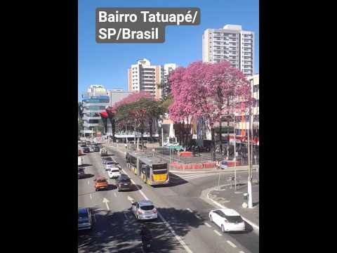 Bairro Tatuapé/São Paulo/Brasil