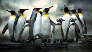 Michael Manring - Welcoming