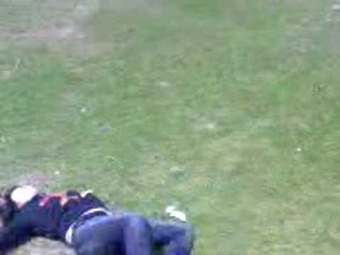 download lagu mp3 mp4 Kinder Expo Krefeld, download lagu Kinder Expo Krefeld gratis, unduh video klip Kinder Expo Krefeld