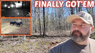 Taking Action Against Trespassers I Caught On Hidden Camera